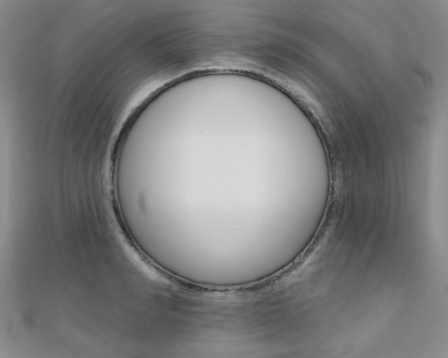 X0000110680990200906121031