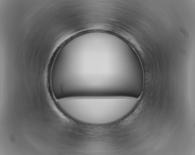 X0000110680991200906121031