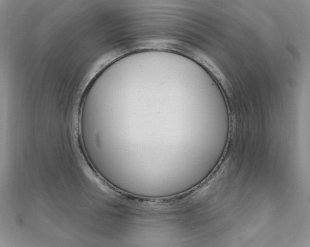 X0000110680994200906121031