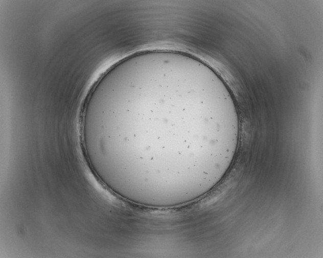 X0000110680998200906121031