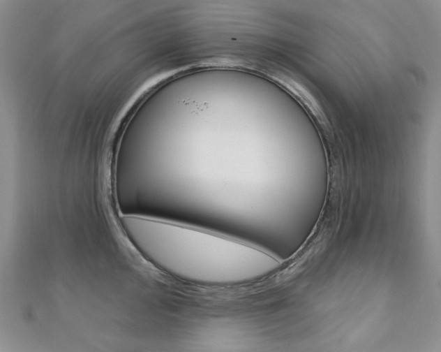 X0000110681000200906121031