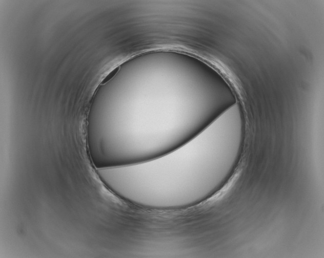 X0000110681001200906121031
