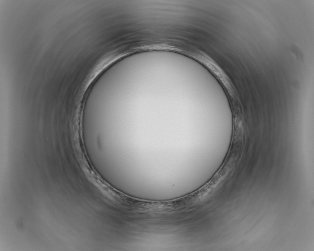 X0000110681002200906121031