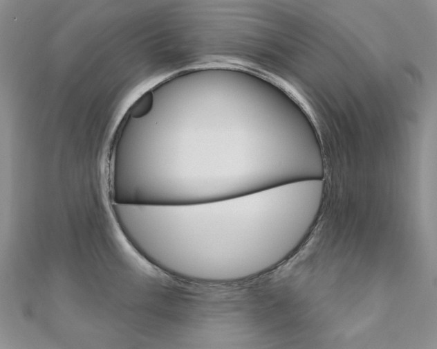X0000110681003200906121031