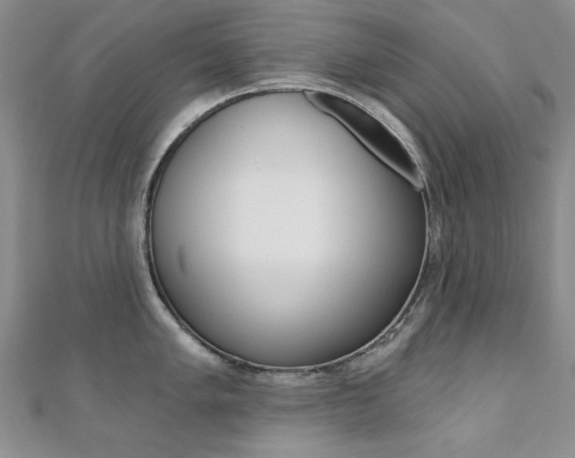 X0000110681005200906121031