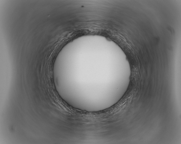 X0000110681009200906121030