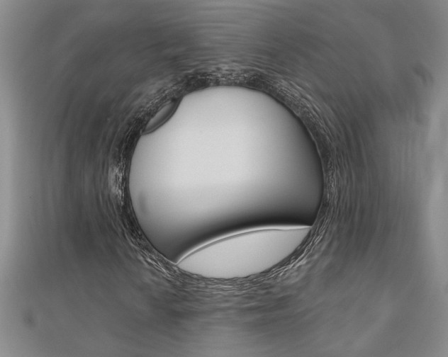 X0000110681010200906121030