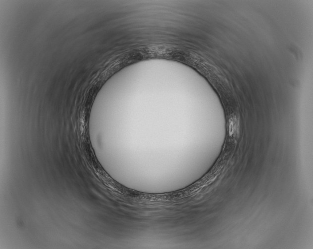 X0000110681011200906121030