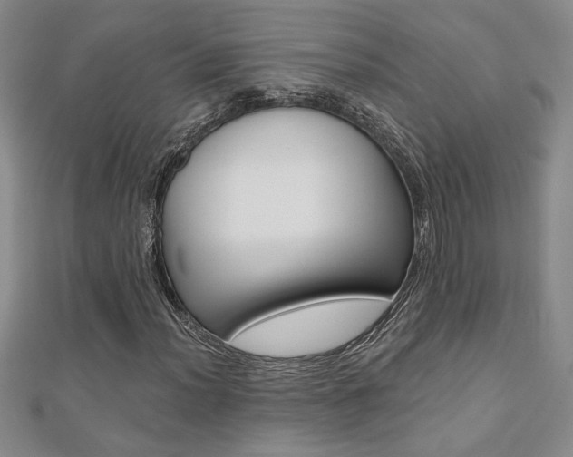 X0000110681012200906121030