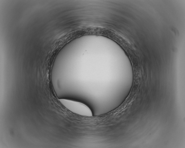 X0000110681013200906121030