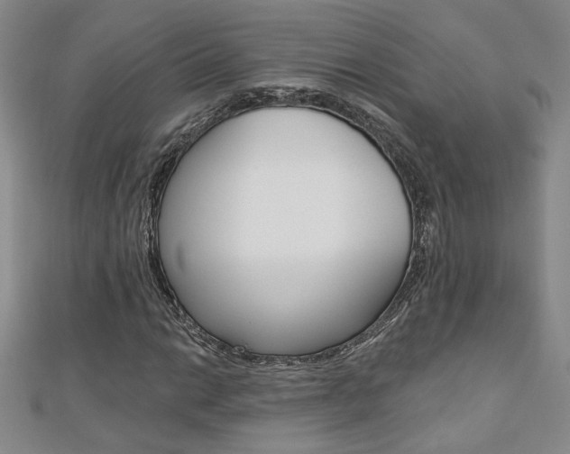X0000110681014200906121030