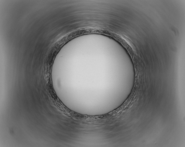 X0000110681015200906121030