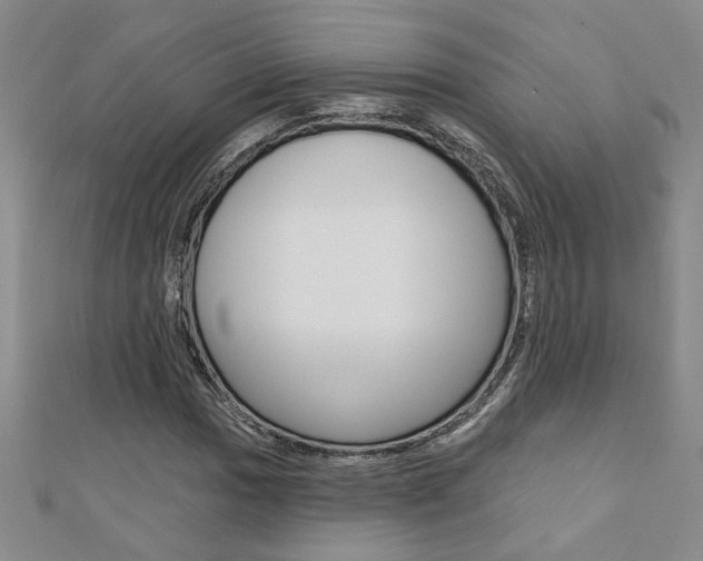 X0000110681017200906121030
