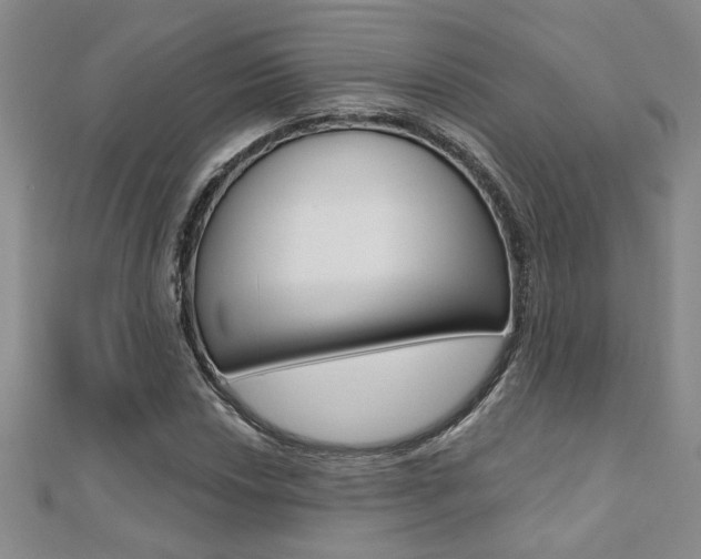 X0000110681018200906121030