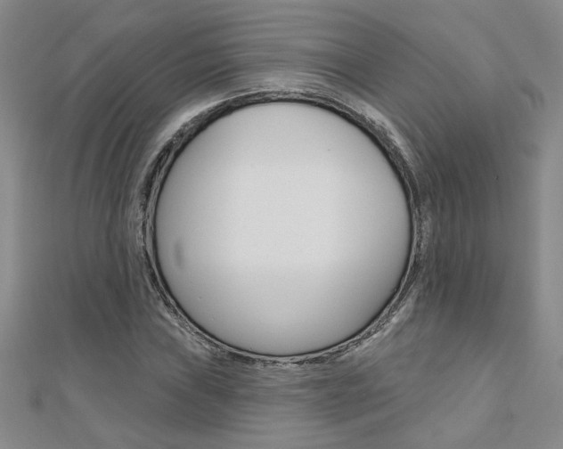 X0000110681019200906121030