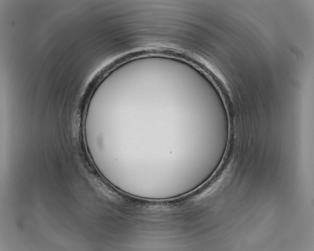 X0000110681021200906121030