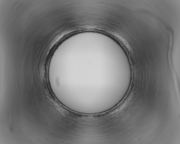 X0000110681023200906121030