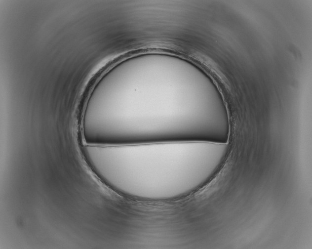 X0000110681024200906121030