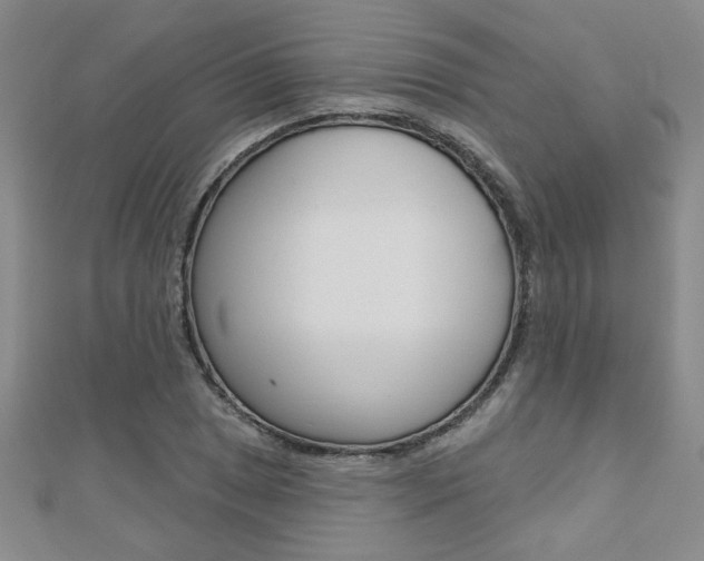 X0000110681025200906121030