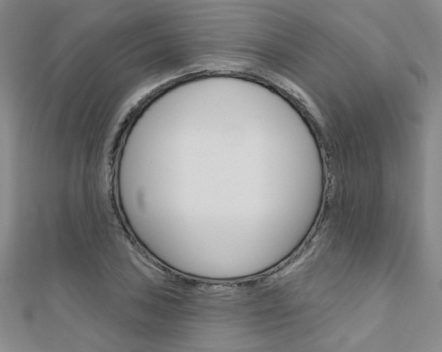 X0000110681027200906121031
