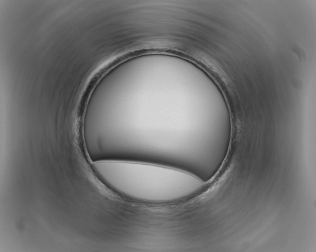 X0000110681029200906121031