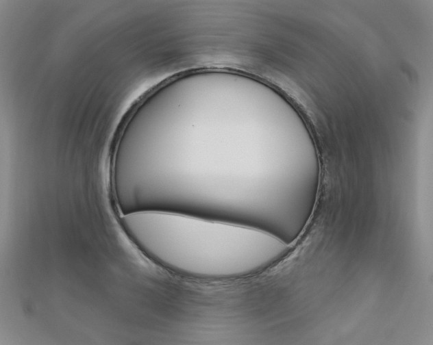 X0000110681032200906121031