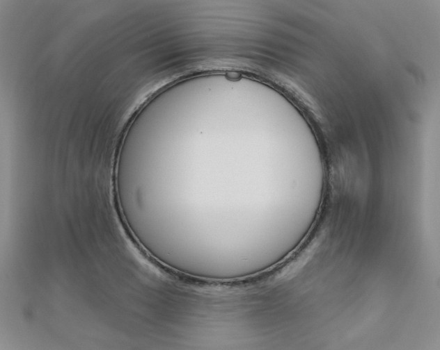 X0000110681033200906121031