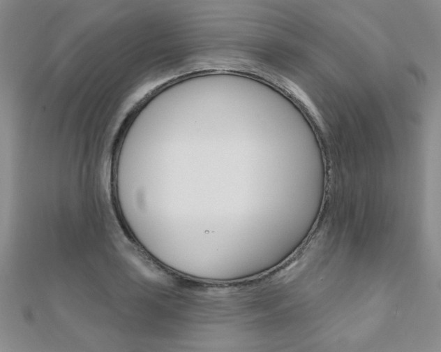 X0000110681035200906121031
