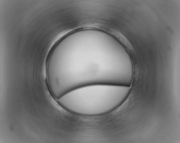X0000110681036200906121031