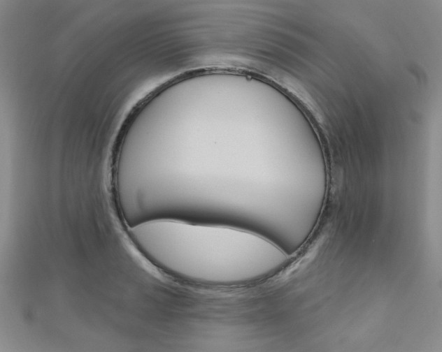 X0000110681037200906121031