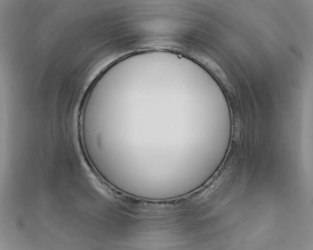 X0000110681039200906121031