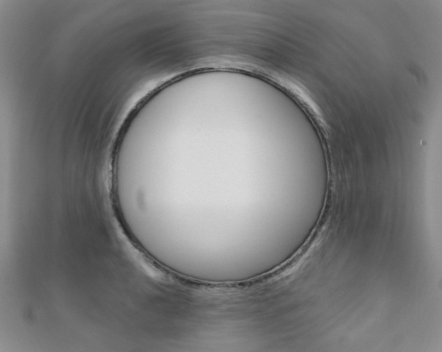 X0000110681040200906121031