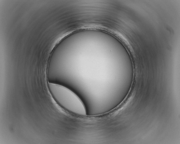 X0000110681041200906121031