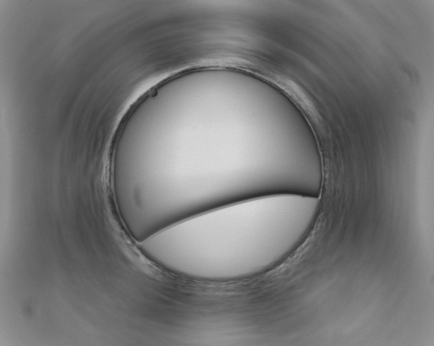 X0000110681044200906121031
