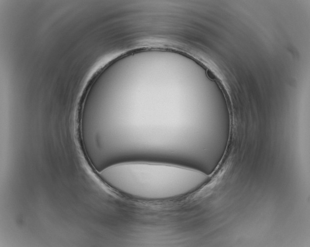 X0000110681045200906121031