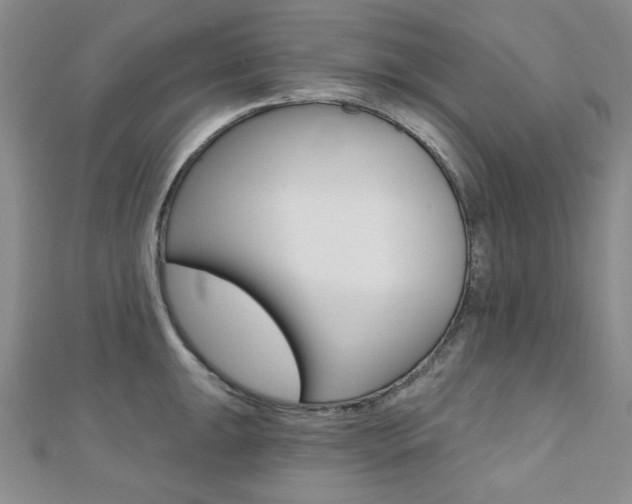 X0000110681047200906121031