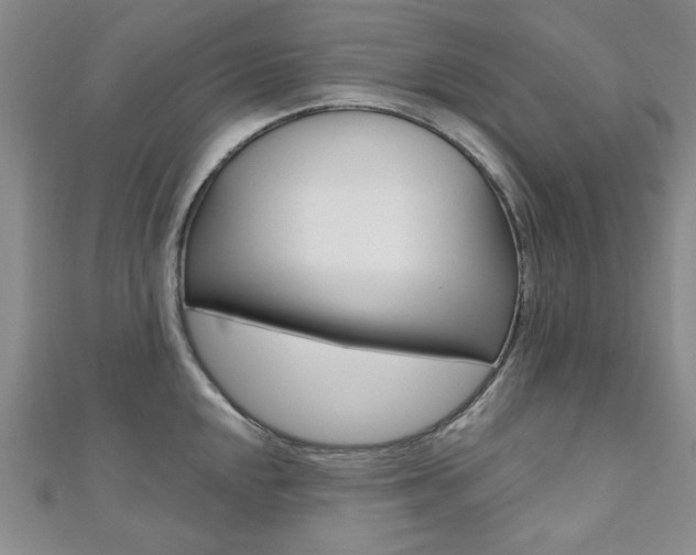 X0000110681048200906121031