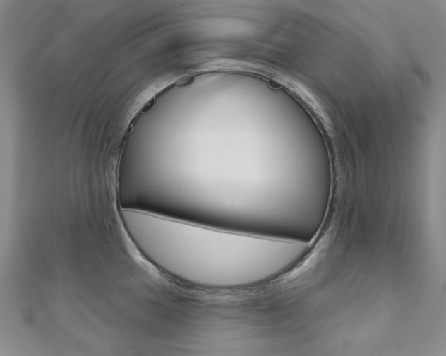 X0000110681049200906121031