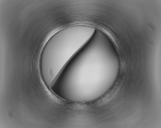 X0000110681050200906121031