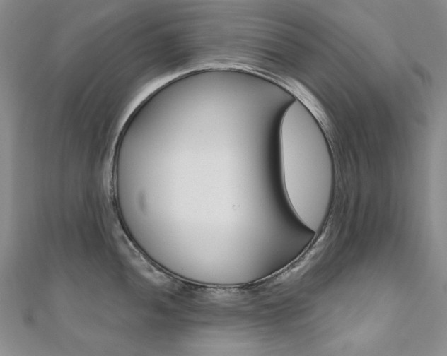 X0000110681052200906121031