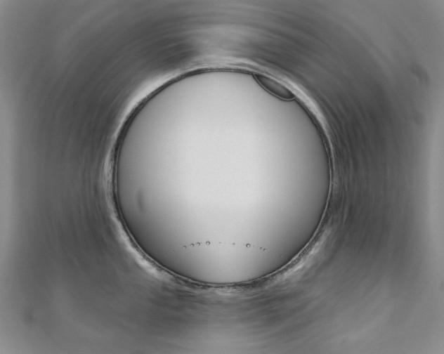 X0000110681053200906121031