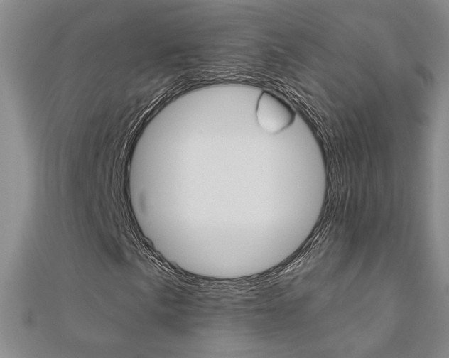 X0000110681057200906121030