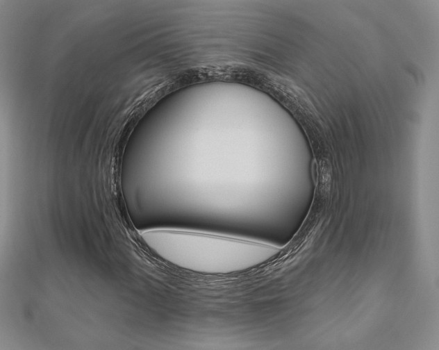 X0000110681060200906121030