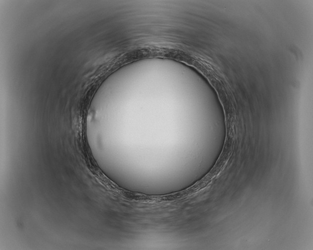 X0000110681061200906121030
