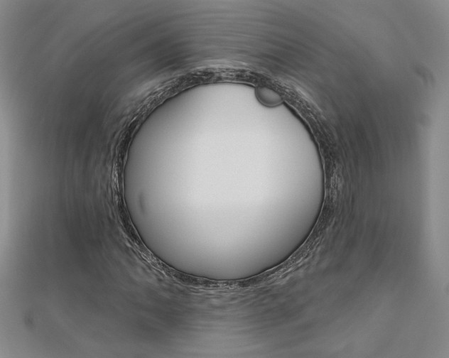 X0000110681062200906121030