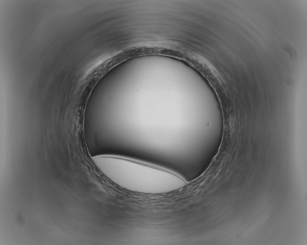 X0000110681064200906121030