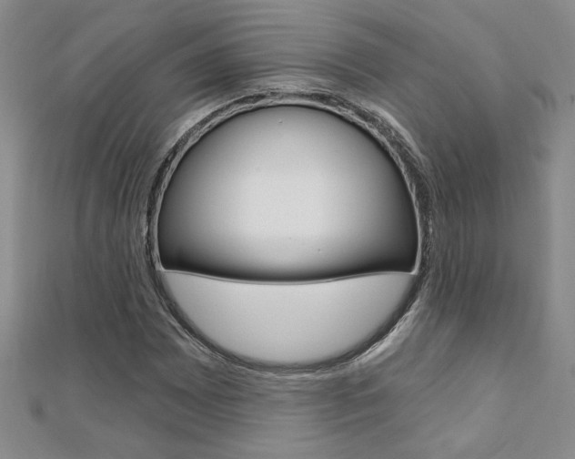 X0000110681065200906121030