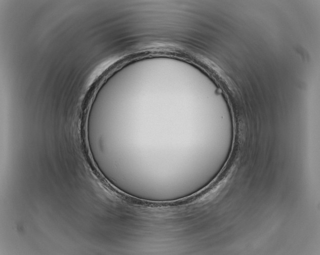 X0000110681066200906121030
