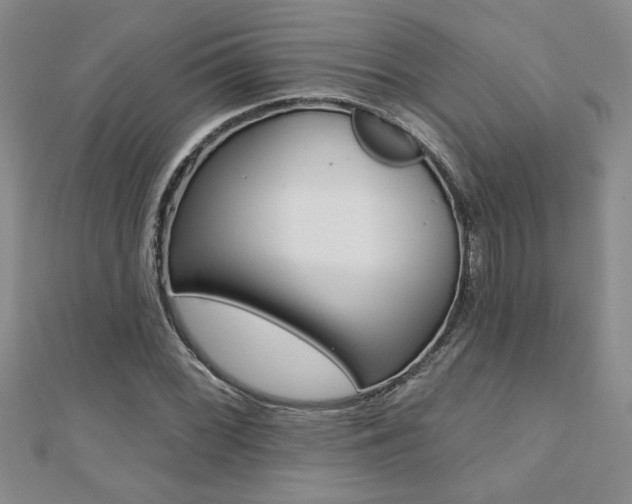 X0000110681068200906121030