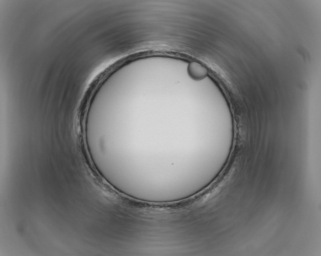 X0000110681070200906121030